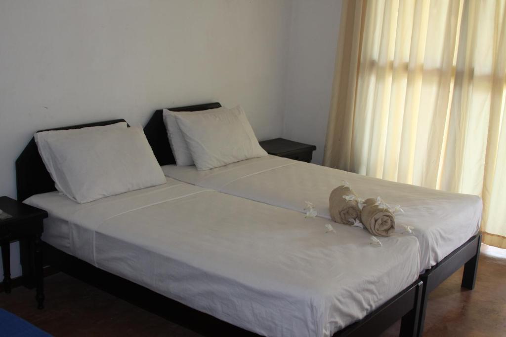 Ceylonica Beach Hotel Negombo Extérieur photo