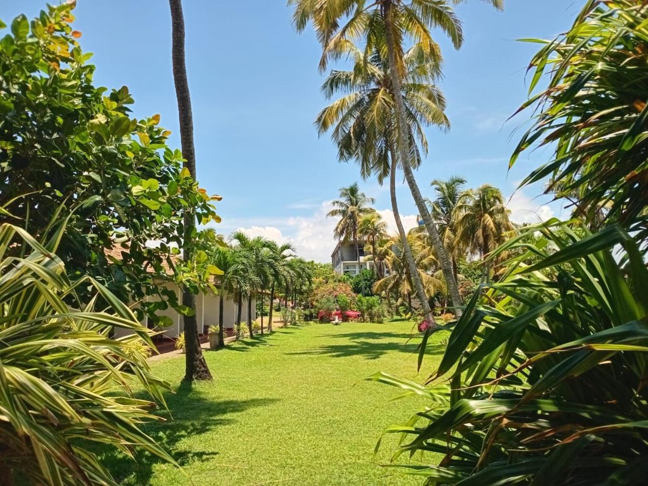 Ceylonica Beach Hotel Negombo Extérieur photo