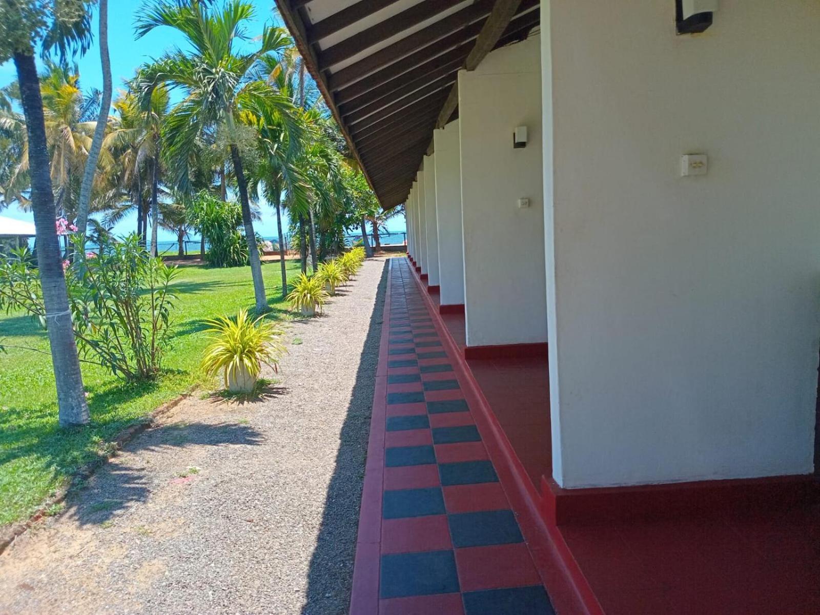 Ceylonica Beach Hotel Negombo Extérieur photo